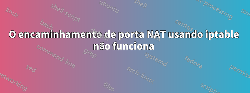 O encaminhamento de porta NAT usando iptable não funciona