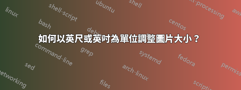 如何以英尺或英吋為單位調整圖片大小?