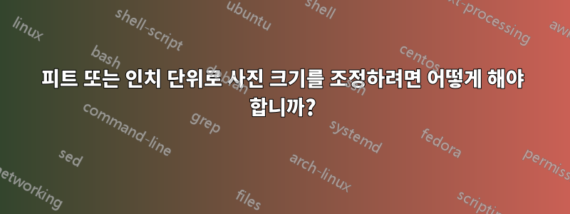 피트 또는 인치 단위로 사진 크기를 조정하려면 어떻게 해야 합니까?