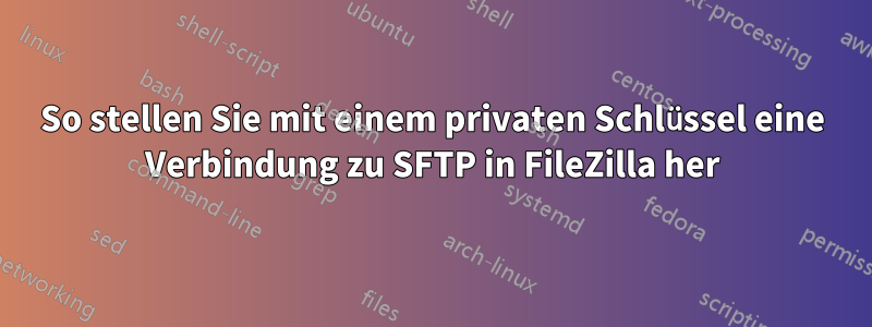 So stellen Sie mit einem privaten Schlüssel eine Verbindung zu SFTP in FileZilla her