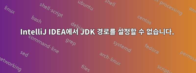 IntelliJ IDEA에서 JDK 경로를 설정할 수 없습니다.