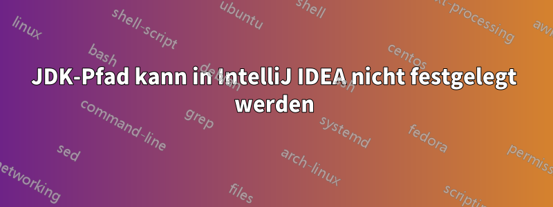 JDK-Pfad kann in IntelliJ IDEA nicht festgelegt werden