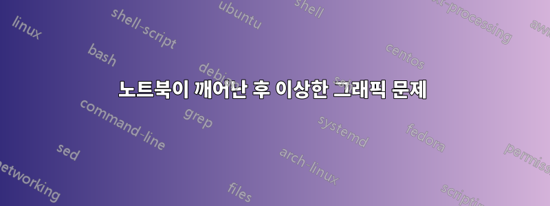 노트북이 깨어난 후 이상한 그래픽 문제