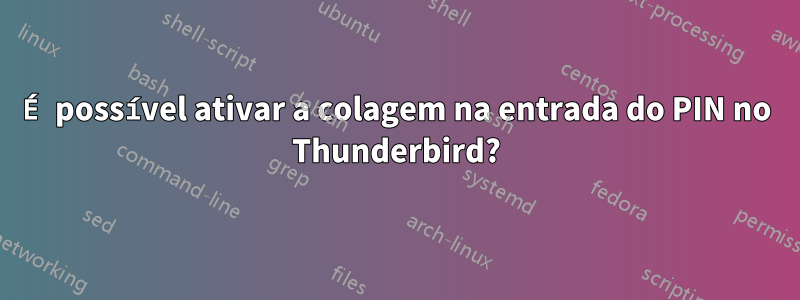 É possível ativar a colagem na entrada do PIN no Thunderbird?