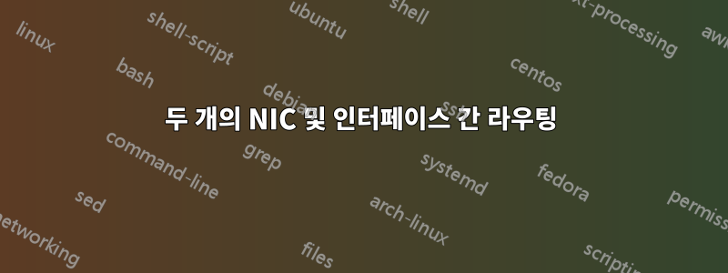 두 개의 NIC 및 인터페이스 간 라우팅