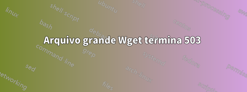Arquivo grande Wget termina 503