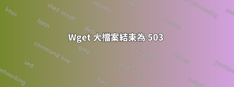 Wget 大檔案結束為 503