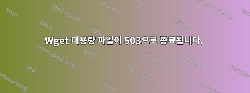 Wget 대용량 파일이 503으로 종료됩니다.