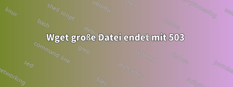 Wget große Datei endet mit 503