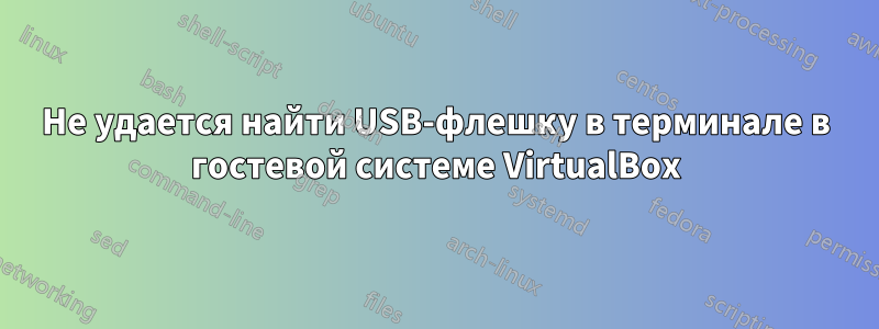 Не удается найти USB-флешку в терминале в гостевой системе VirtualBox