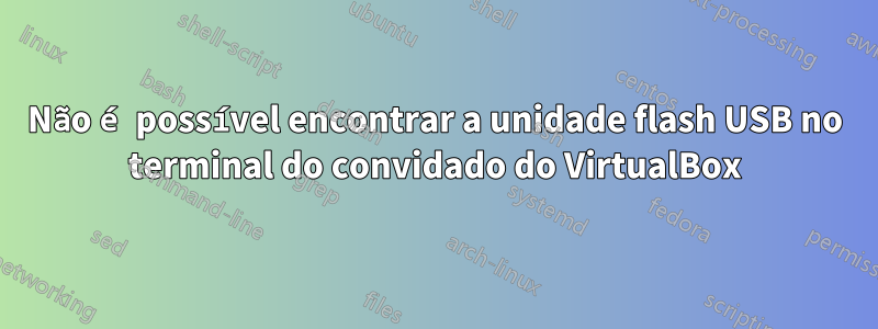 Não é possível encontrar a unidade flash USB no terminal do convidado do VirtualBox