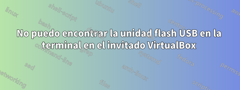 No puedo encontrar la unidad flash USB en la terminal en el invitado VirtualBox