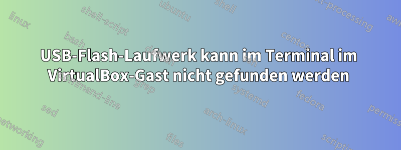 USB-Flash-Laufwerk kann im Terminal im VirtualBox-Gast nicht gefunden werden
