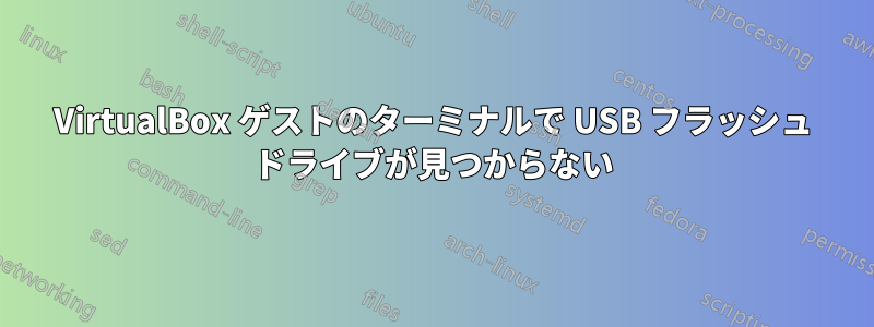 VirtualBox ゲストのターミナルで USB フラッシュ ドライブが見つからない