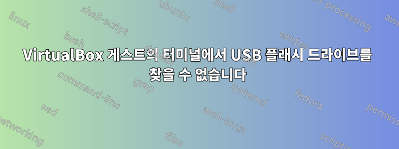 VirtualBox 게스트의 터미널에서 USB 플래시 드라이브를 찾을 수 없습니다