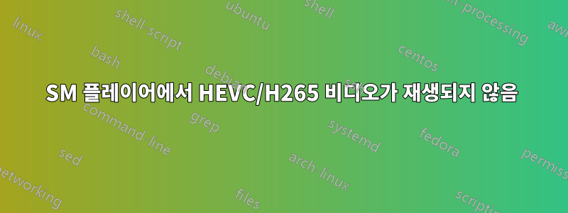 SM 플레이어에서 HEVC/H265 비디오가 재생되지 않음