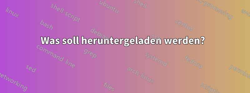 Was soll heruntergeladen werden? 