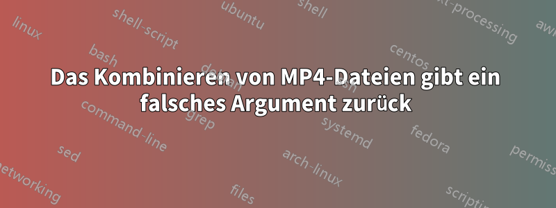 Das Kombinieren von MP4-Dateien gibt ein falsches Argument zurück