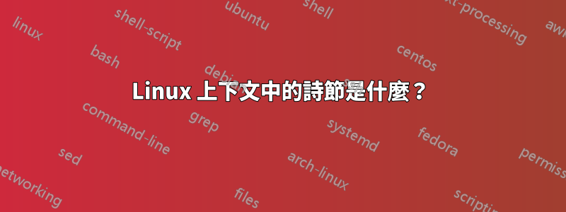 Linux 上下文中的詩節是什麼？