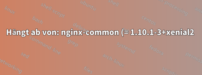 Hängt ab von: nginx-common (= 1.10.1-3+xenial2), aber 1.10.1-0+xenial0 muss installiert werden