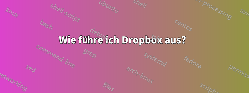 Wie führe ich Dropbox aus? 