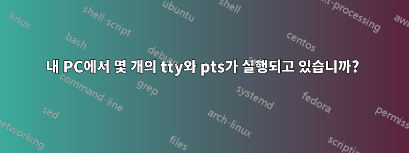 내 PC에서 몇 개의 tty와 pts가 실행되고 있습니까?