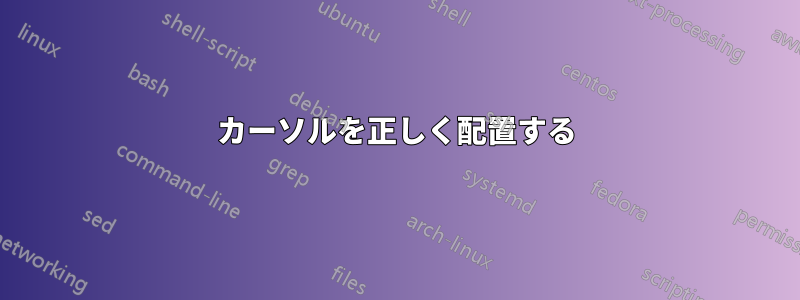 カーソルを正しく配置する