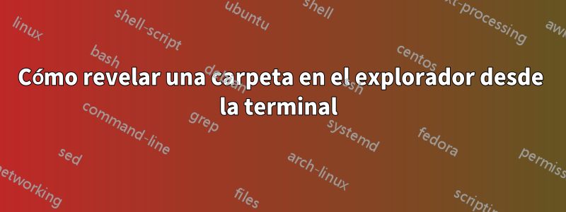 Cómo revelar una carpeta en el explorador desde la terminal 