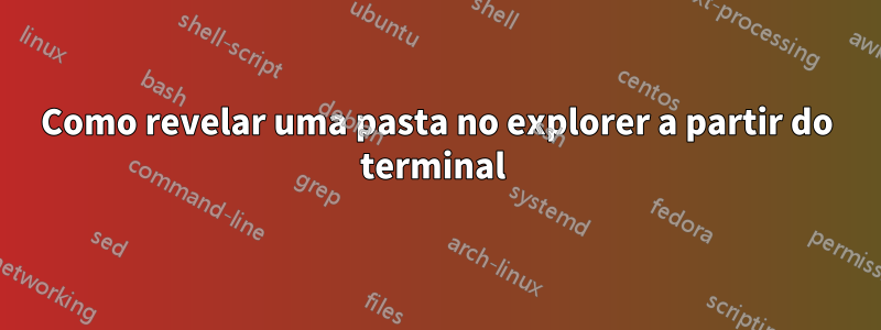 Como revelar uma pasta no explorer a partir do terminal 