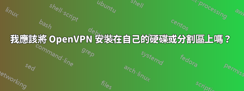 我應該將 OpenVPN 安裝在自己的硬碟或分割區上嗎？