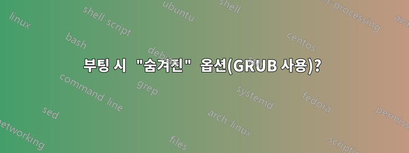 부팅 시 "숨겨진" 옵션(GRUB 사용)?