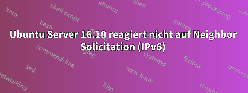 Ubuntu Server 16.10 reagiert nicht auf Neighbor Solicitation (IPv6)