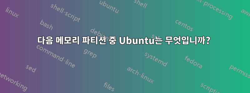 다음 메모리 파티션 중 Ubuntu는 무엇입니까?