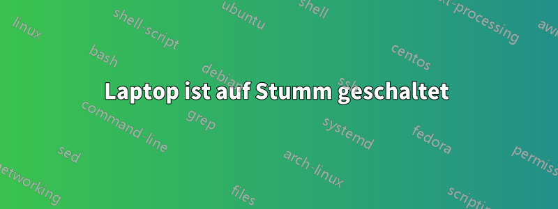 Laptop ist auf Stumm geschaltet