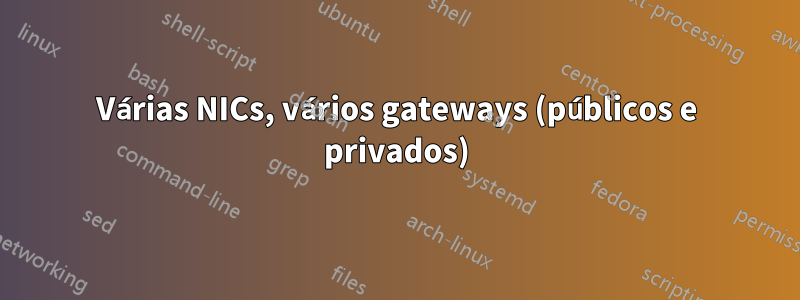 Várias NICs, vários gateways (públicos e privados)