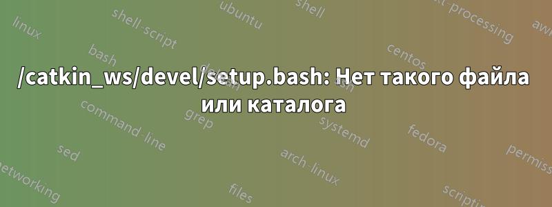 /catkin_ws/devel/setup.bash: Нет такого файла или каталога