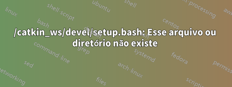 /catkin_ws/devel/setup.bash: Esse arquivo ou diretório não existe