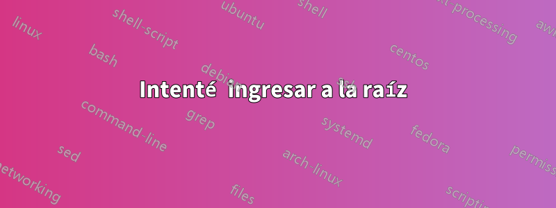 Intenté ingresar a la raíz 
