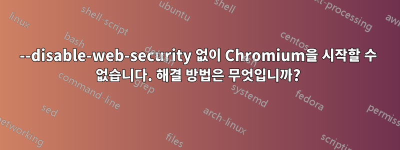 --disable-web-security 없이 Chromium을 시작할 수 없습니다. 해결 방법은 무엇입니까?