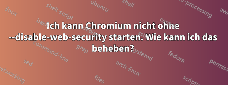 Ich kann Chromium nicht ohne --disable-web-security starten. Wie kann ich das beheben?