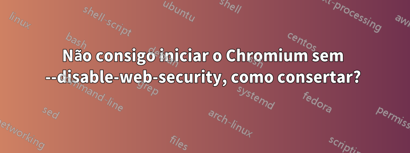 Não consigo iniciar o Chromium sem --disable-web-security, como consertar?