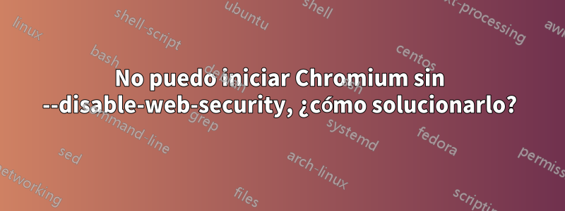 No puedo iniciar Chromium sin --disable-web-security, ¿cómo solucionarlo?
