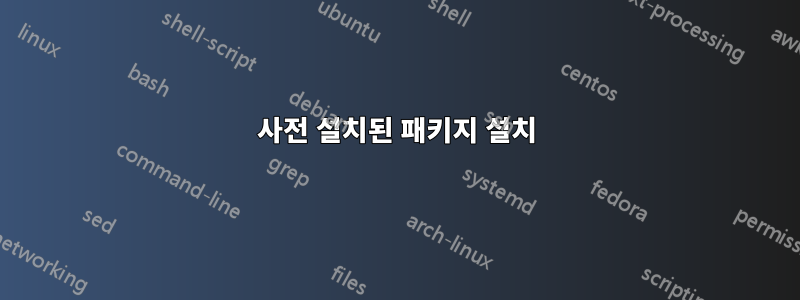 사전 설치된 패키지 설치