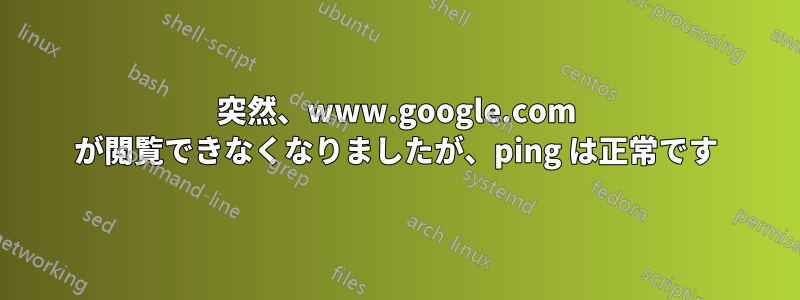 突然、www.google.com が閲覧できなくなりましたが、ping は正常です