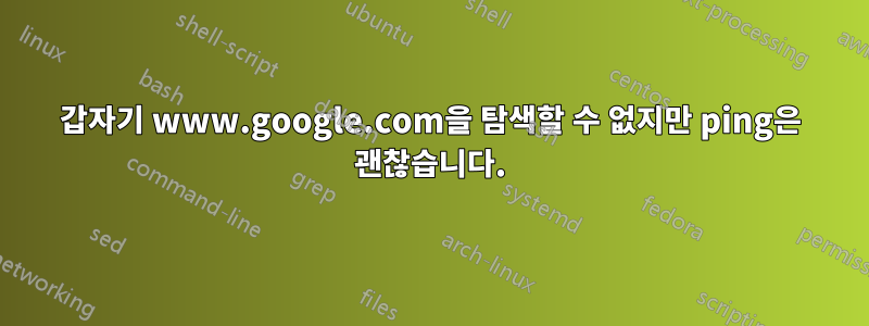 갑자기 www.google.com을 탐색할 수 없지만 ping은 괜찮습니다.