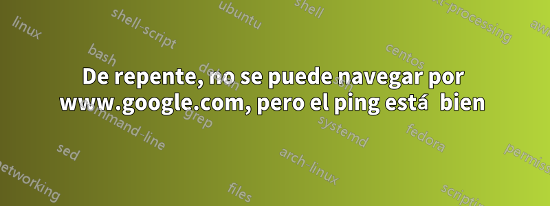 De repente, no se puede navegar por www.google.com, pero el ping está bien