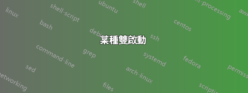 某種雙啟動