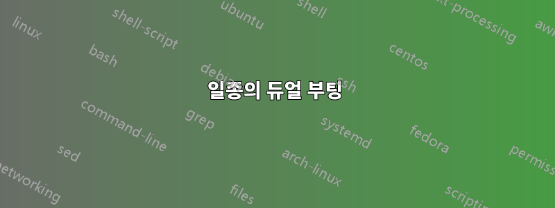 일종의 듀얼 부팅
