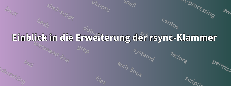 Einblick in die Erweiterung der rsync-Klammer