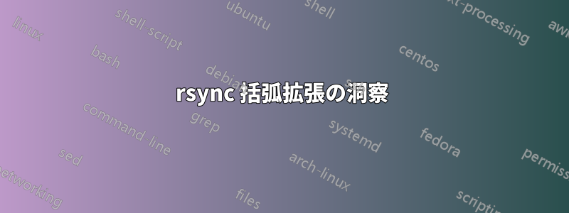rsync 括弧拡張の洞察
